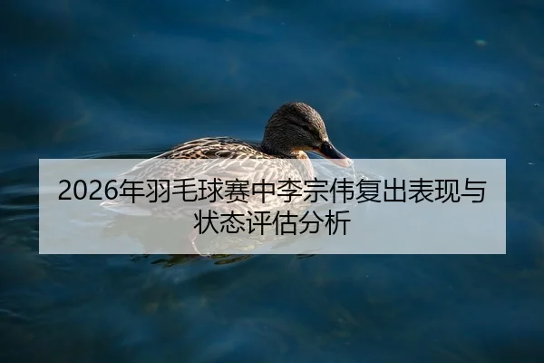 nian-yu-mao-qiu-sai-zhong-li-zong-wei-fu-chu-biao-xian-yu-zhuang-tai-ping-gu-fen-xi-2-217.jpg