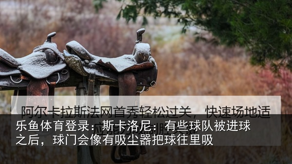 乐鱼体育登录:斯卡相关情况球之相关情况器把球往里吸