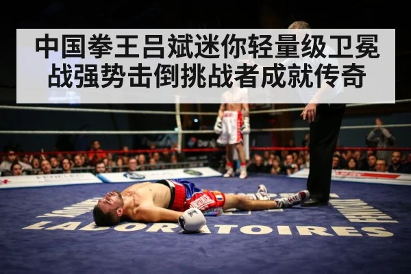 boxer knockout