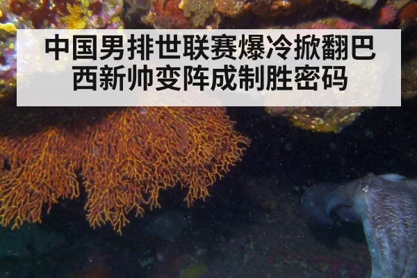 中国男排世联赛爆冷掀翻巴西新帅变阵成制胜密码